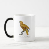 Mug Magique Le Perroquet Jaune ecaille de rouge (Gauche)