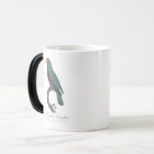 Mug Magique Le Perroquet Langlois de Jacques Barraband (Devant gauche)