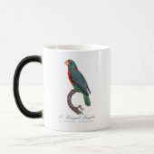 Mug Magique Le Perroquet Langlois de Jacques Barraband (Gauche)