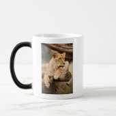 MUG MAGIQUE LION (Gauche)