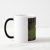 Mug Magique Llama blanche (Gauche)