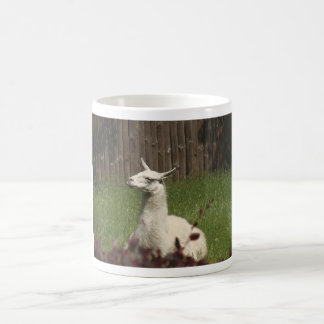 Mug Magique Llama blanche