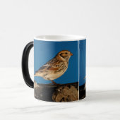 Mug Magique Longspur de la Laponie sur un journal éclairé (Devant gauche)