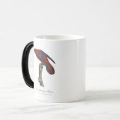 Mug Magique Lori à queue brune, Trichoglossus borneus (Devant gauche)