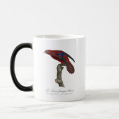 Mug Magique Lori à queue brune, Trichoglossus borneus (Gauche)