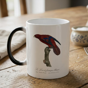 Mug Magique Lori à queue brune, Trichoglossus borneus