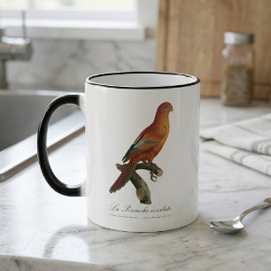 Mug Magique Lori de Bornéo, Trichoglossus borneus