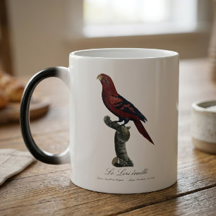 Mug Magique Lori réticulé, Trichoglossus reticulatus