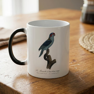 Mug Magique Loriquet à tête bleue, Trichoglossus concinnus