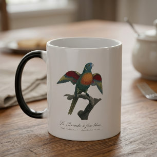 Mug Magique Loriquet à tête bleue, Trichoglossus haematodus