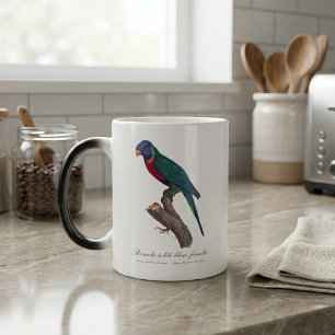 Mug Magique Loriquet arc-en-ciel femelle, Trichoglossus molucc
