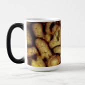 Mug Magique Monographie des Agates de quartz vert de Terre (Gauche)