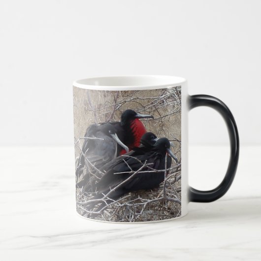 Mug Magique Oiseaux de frégate de Galapagos (Droite)