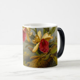 Mug Magique Orchidées et colibri Heade