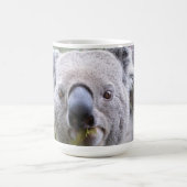 Mug Magique Ours de Koala (Centre)