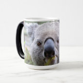 Mug Magique Ours de Koala (Devant gauche)