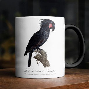 Mug Magique Palmisano à tête noire, perroquet Probosciger ater