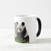 Mug Magique Panda (Devant droit)