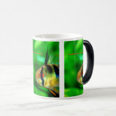Mug Magique Papiliochromis ramirezi (Devant droit)