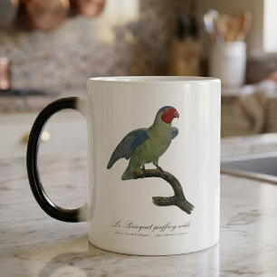 Mug Magique Perroquet à joues rouges mâle, Geoffroyus geoffroy