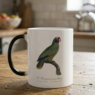Mug Magique Perroquet à queue rouge, Amazona Brasiliensis