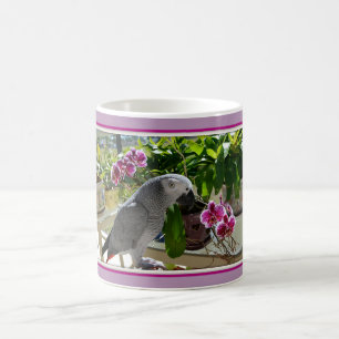 Mug Magique Perroquet de gris africain avec des orchidées