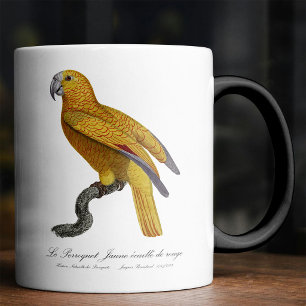 Mug Magique Perroquet de Paradis de Cuba, Psittacus Paradisi