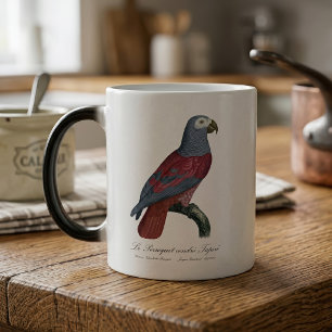 Mug Magique Perroquet Gris du Congo Facteur Rouge Psittacus Er