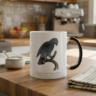 Mug Magique Perroquet gris Timneh, Psittacus Timneh