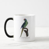 Mug Magique Perruche à front orange, Eupsittula Canicularis (Gauche)