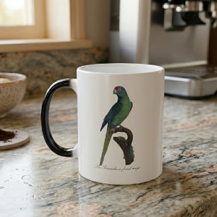 Mug Magique Perruche à front orange, Eupsittula Canicularis
