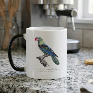 Mug Magique Perruche à gros bec, Tanygnathus megalorynchos