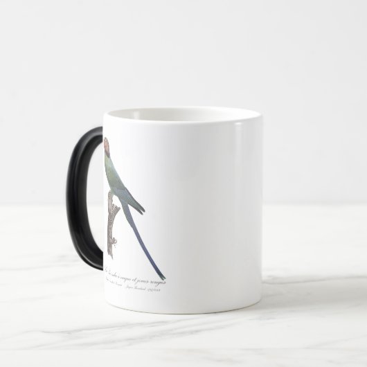 Mug Magique Perruche à longue queue, Psittacula Longicauda (Devant gauche)