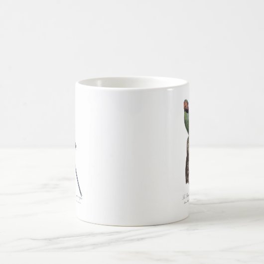 Mug Magique Perruche à longue queue, Psittacula Longicauda (Centre)