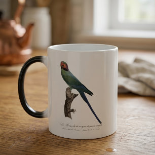 Mug Magique Perruche à longue queue, Psittacula Longicauda