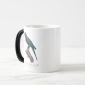 Mug Magique Perruche a tete bleue, femelle / Rainbow lorikeet, (Devant gauche)