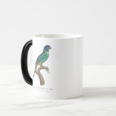 Mug Magique Perruche a tete bleue / Rainbow lorikeet, juvénile (Devant gauche)
