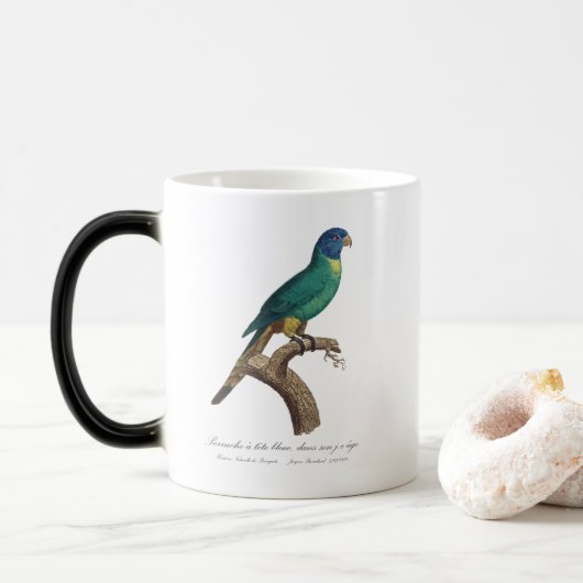 Mug Magique Perruche a tete bleue / Rainbow lorikeet, juvénile (Avec donut)