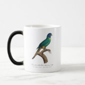 Mug Magique Perruche a tete bleue / Rainbow lorikeet, juvénile (Gauche)