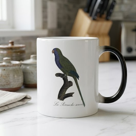 Mug Magique Perruche Moine, Myiopsitta Monachus