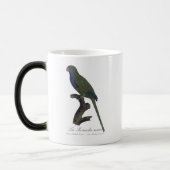 Mug Magique Perruche Moine, Myiopsitta Monachus (Gauche)
