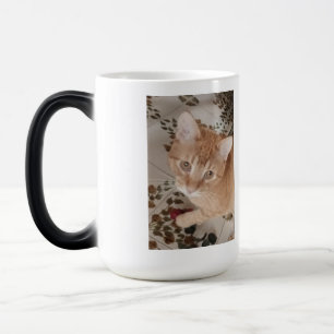Mug Magique Photo de chaton roux, meilleur thérapeute,