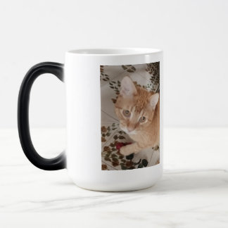 Mug Magique Photo de chaton roux, meilleur thérapeute,