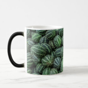 Mug Magique Photo de Cucamelon frais vert rayé, fruit mexicain