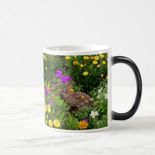 Mug Magique Photographie de lapin Brown sauvage
