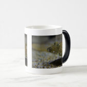 Mug Magique Poissons plats (Devant droit)
