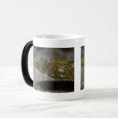 Mug Magique Poissons plats (Devant gauche)