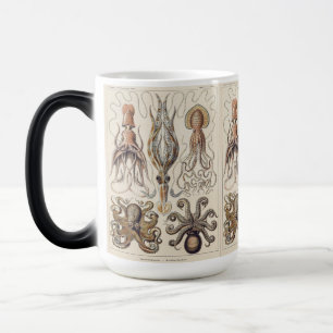 Mug Magique Poulpe Vintage Calmar Art par Ernst Haeckel