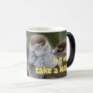 Mug Magique Quand est-ce qu'il est possible de faire une siest
