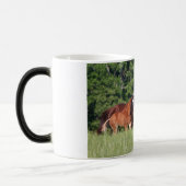 Mug Magique Quelques chevaux dans l'herbe verte (Gauche)